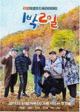 看片大全 花儿与少年